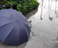 天堂伞 双人雨伞三折 雨伞加大加固三折雨伞全钢十骨大伞 乌木黑 实拍图