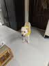 HELLOJOY狗狗玩具大型犬互动圆环金毛浮水拉环狗球磨牙耐咬狗解闷逗狗神器 实拍图
