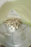 十月稻田 莲子 250g 半斤 湘潭产去芯磨皮白莲子 桂圆百合银耳羹煲汤食材  实拍图