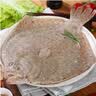 鲜活多宝鱼450-550g/条 实拍图