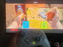 飞智沙漠狐 冰魄蓝 多模版无线游戏手柄 类xbox霍尔扳机switch电脑PC手机steamNS 星露谷物语双影奇境 实拍图