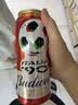 百威【哈宝同款】世界杯珍藏版啤酒【40周年限定】500ML*12礼盒装 实拍图
