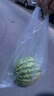 小熊（Bear）NFC全自动三段压榨原汁机 渣汁分离榨汁机 果渣分离机 多功能电动家用 果蔬水果冰淇淋机YZJ-S02K5 实拍图