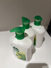 滴露（Dettol）洗手液松木500g瓶 健康抑菌消毒非补充装 儿童家庭用清爽去油 实拍图