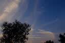 胶缤爽口鸡香辣23克*20包辣子鸡丁蛋白肉辣条口水鸡怀旧零食重庆特产 实拍图