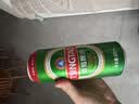 青岛啤酒（TsingTao）经典拉格 浓郁麦香500ml*24罐 整箱装 晒单实拍图