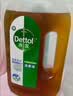 滴露（Dettol）消毒液衣物消毒水1.8L*2 洗衣除菌家居除螨杀菌 灭活HPV16病毒 实拍图