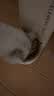 亿迪 冻干猫粮幼猫成猫全阶段布偶蓝猫布偶小包装5斤装 实拍图