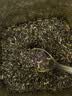 一农茶叶茉莉花茶高碎250g 多次窨制花香浓郁 老北京高沫 实拍图