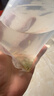 广东黑壳虾活体除藻鱼套餐除藻虾清洁虾观赏虾草虾鱼缸活体免包邮 黑壳虾包活60只+送40只备损共100 实拍图