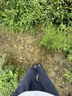 卡骆驰（CROCS）白鹿同款经典云朵洞洞鞋时尚百搭女鞋花园鞋|206750 黑色-001(含智必星) 38 (240mm) 实拍图