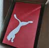 彪马PUMA 网面轻便防滑跑步鞋男女通勤休闲运动鞋PULSE 310780 41 实拍图