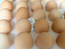 京鲜生 无抗保洁鲜鸡蛋30枚/盒 健康轻食 礼盒送礼 1.5kg/盒 源头直发 实拍图