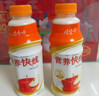 娃哈哈 营养快线经典原味 含乳饮料 500g*15瓶 整箱装 实拍图