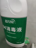 蓝月亮84消毒液600g/瓶 杀菌率99.999% 地板玩具家居衣物消毒水 实拍图