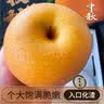 粤迎正宗山东秋月梨【顺丰送货上门】冰糖脆甜梨子新鲜中秋节送礼物盒 5斤礼盒装【送礼优选装-较较划算】净4.5斤 S+级甄选果【单果350-400g】狠甜 实拍图