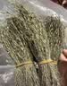 西知堂独脚金50g儿童疳积草黄花草孩儿草煲汤原料可做消积汤非野做汤包 实拍图