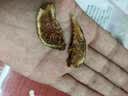 鲜美利青皮无花果干88g无添加0熏硫0漂白滋补孕妇天然黄体酮零食水果干 实拍图