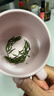 羽信雀舌绿茶茶叶2026新茶特级一等四川特产雅安蒙顶山茶 【初见】独立小袋茶叶礼盒120g（30袋） 实拍图