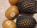 佳沛（zespri）新西兰 阳光金奇异果12粒特大果单果124-146g 猕猴桃水果礼盒 实拍图