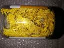 杞里香 金丝皇菊大朵菊花茶约50朵/盒黄山贡菊杭白胎菊干 养生茶花草茶 实拍图