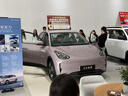 【吉利熊猫mini】首次试驾送京东50元E卡 吉利汽车 实拍图