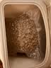 素力高（SolidGold）猫粮金素鸡升级款 成幼猫进口高蛋白12磅/5.44kg 实拍图