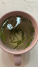 羽信雀舌绿茶茶叶2026新茶特级一等四川特产雅安蒙顶山茶 【初见】独立小袋茶叶礼盒120g（30袋） 实拍图