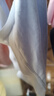 全棉时代女士内裤女【年度热销款】纯棉档7A抗菌网眼里裆透气三角裤夏季 实拍图
