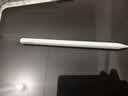 Apple/苹果 Pencil Pro 磁吸触控笔手写笔苹果笔电容笔书写绘画iPad笔 适用于iPad Pro/Air/mini机型 实拍图