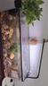 阔庭（KUOTING）鱼缸水族箱客厅桌面生态造景家用带灯制氧过滤鱼缸黑色【超大号】 实拍图