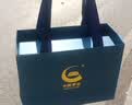 中国黄金（CHINA GOLD）四叶草银项链女足银吊坠轻奢小众高级感情人节生日礼物送女友老婆 四叶草吊坠+S925链【白-玫瑰礼盒】 实拍图