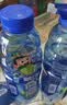脉动猫薄荷限定瓶600ML*15瓶低糖维C电解质水运动功能饮料整箱装 实拍图