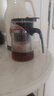 飘逸壶泡茶壶耐热高温玻璃沏茶过滤内胆冲茶器家用茶具套装 飘逸杯500mL1个 实拍图
