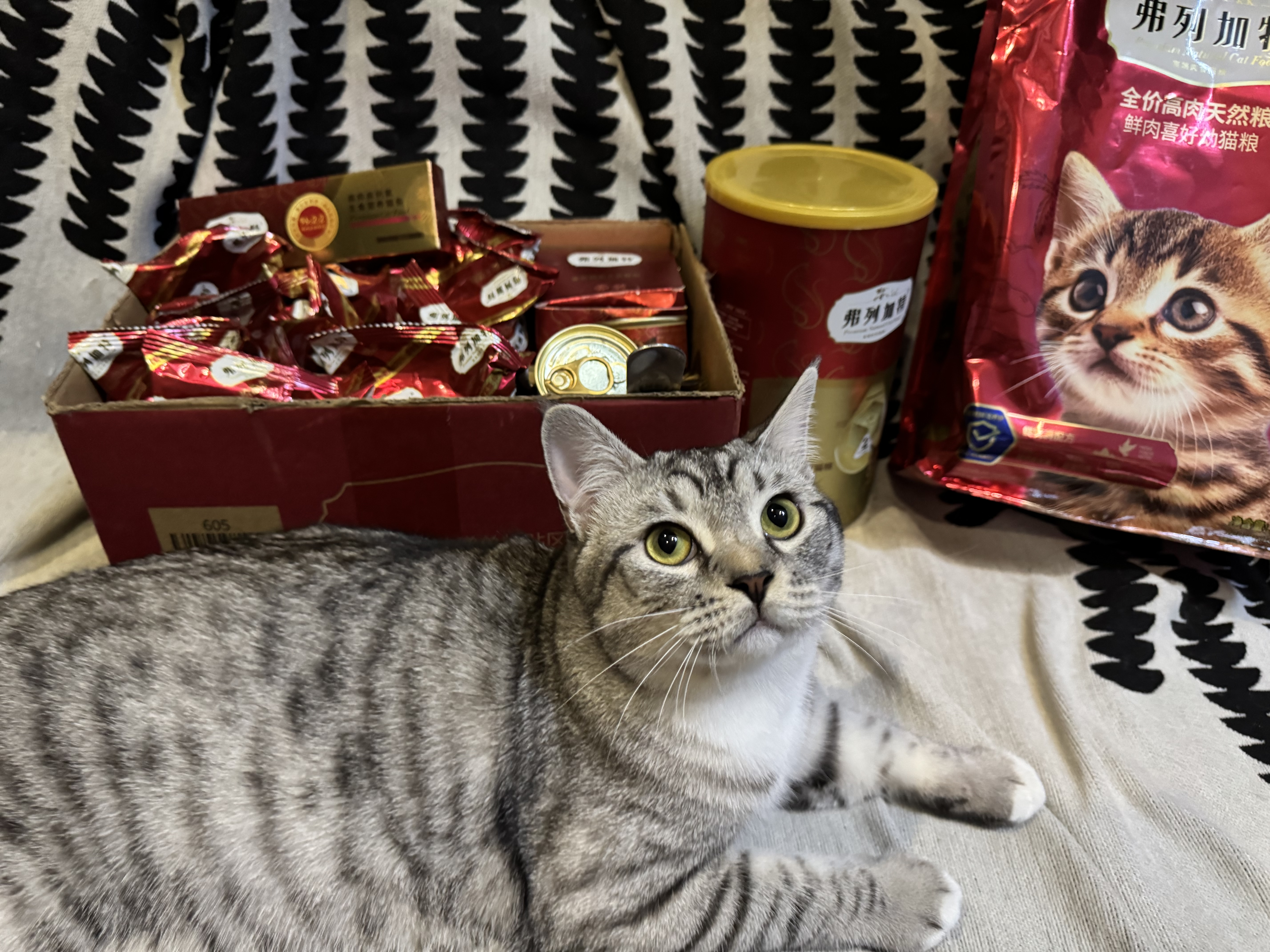 弗列加特猫粮 肠道养护 全价鲜肉天然粮 幼猫粮乳鸽味2kg【宠物金选】 实拍图