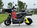 九号（Ninebot）【新国标电自】九号电动Fz1 60电动自行车9号智能电动车【门店自提】 到门店选颜色 实拍图