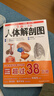 全新3D人体解剖图 人体肌肉解剖运动解剖学断层局部图谱解剖书教材卫生解剖生理学专业基础 医学书解剖图谱 200余幅全彩精密图谱人体解剖学书 实拍图