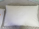 拉芙菲尔五星级酒店枕头抑菌可水洗成人家用高弹枕芯单人 一对拍2 实拍图