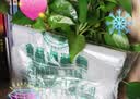 背心加厚手提式食品级保鲜袋水果店便利店购物早餐外卖厨房一次性 36cm*24cm (200只/份) 实拍图