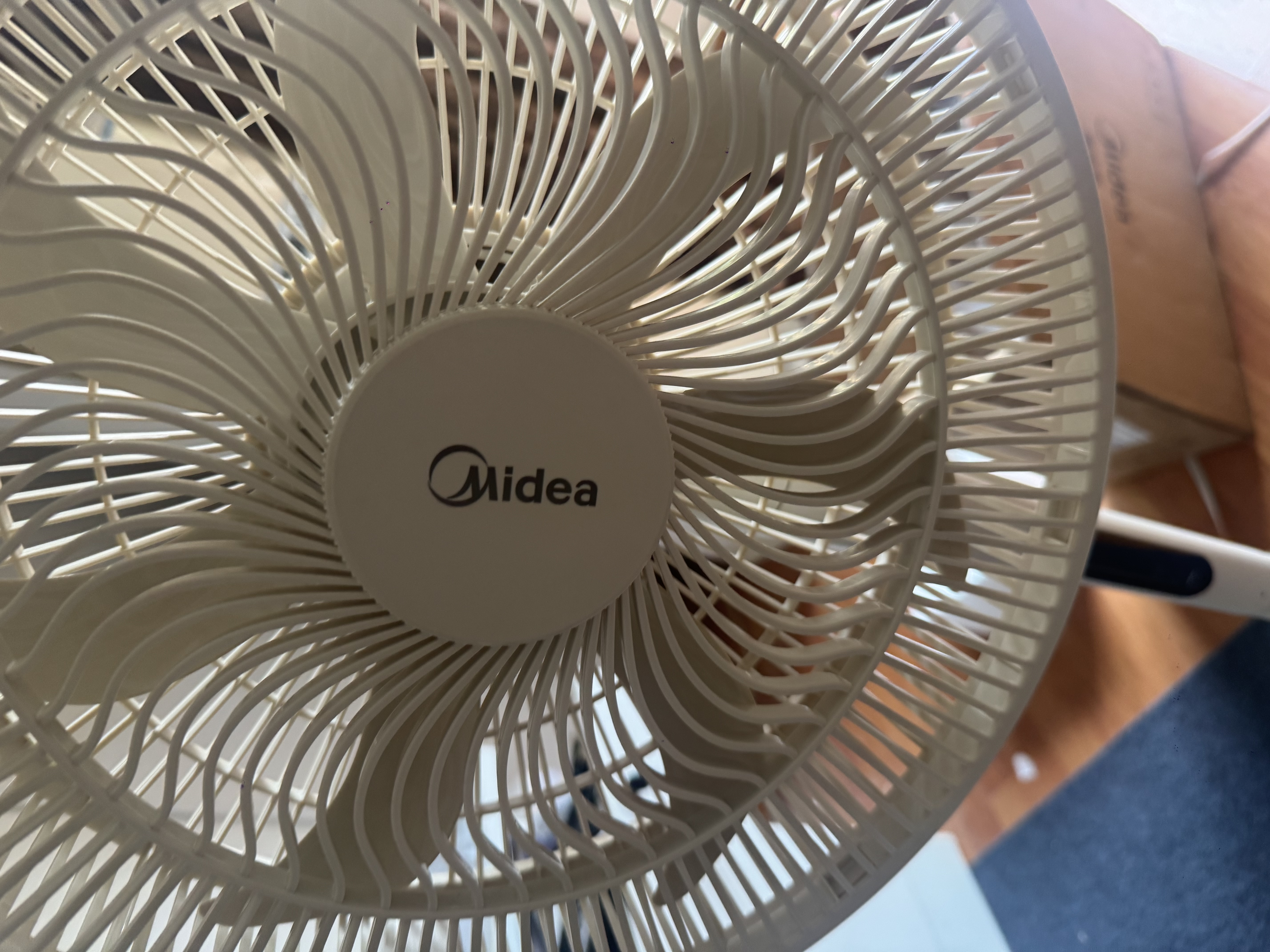美的（Midea） 电风扇 家用风扇7叶落地扇立式轻音节能大风量电扇台扇迷你扇台立两用转页扇空气循环扇安静低音 闪装新款丨直流变频 一级能效·SDJ30BM 家用落地扇 实拍图