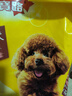 宝路狗粮全犬种通用全价粮成犬狗粮中小型犬牛肉味7.5kg【原料透明】 实拍图