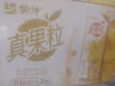 蒙牛真果粒黄桃味牛奶饮品250g*12盒 礼盒新老包装 含乳饮料送礼礼盒 实拍图