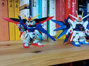 万代（BANDAI）SD 高达SDEX 拼装模型玩具 8cm SDEX09 命运高达 实拍图