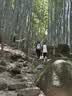 南木熊登山包旅行包户外双肩包男女爬山装备专业轻便背包可折叠徒步旅游 折叠登山包【白灰】 实拍图