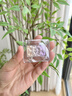 橘朵（Judydoll）单色眼影高光渐变彩闪七夕情人节礼物送女友D02碎电波 实拍图