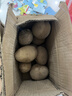 播州鲜新鲜土豆贵州特产高山马铃薯土豆黄皮黄心土豆农家自种蔬菜 黄皮土豆2斤 （净重） 实拍图