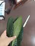 苏泊尔（SUPOR）保温壶大容量家用大容量开水壶304不锈钢真空按压式热水瓶暖瓶 实拍图
