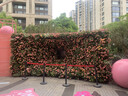 立蒙（LIMENG）男女装素色180g全棉短袖t恤圆领宽松体恤打底衫 黑色 M 实拍图