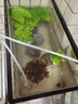 京业（JINGYE）鱼缸增氧泵充电式锂电池YE2000L款4W家用鱼缸氧气泵增氧机 实拍图