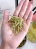 胖东来同款特级金银花清火正宗中药材清热解毒野生干货泡水喝凉茶 精选金银花250克【加绒毛】 125g*2罐 人工精选 正宗带绒毛 实拍图